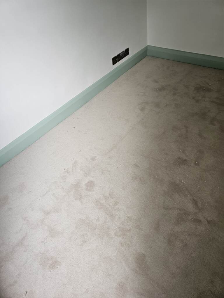 Westex Flooring Westend Velvet Marshmallow Carpet Installation in Westminster, Home