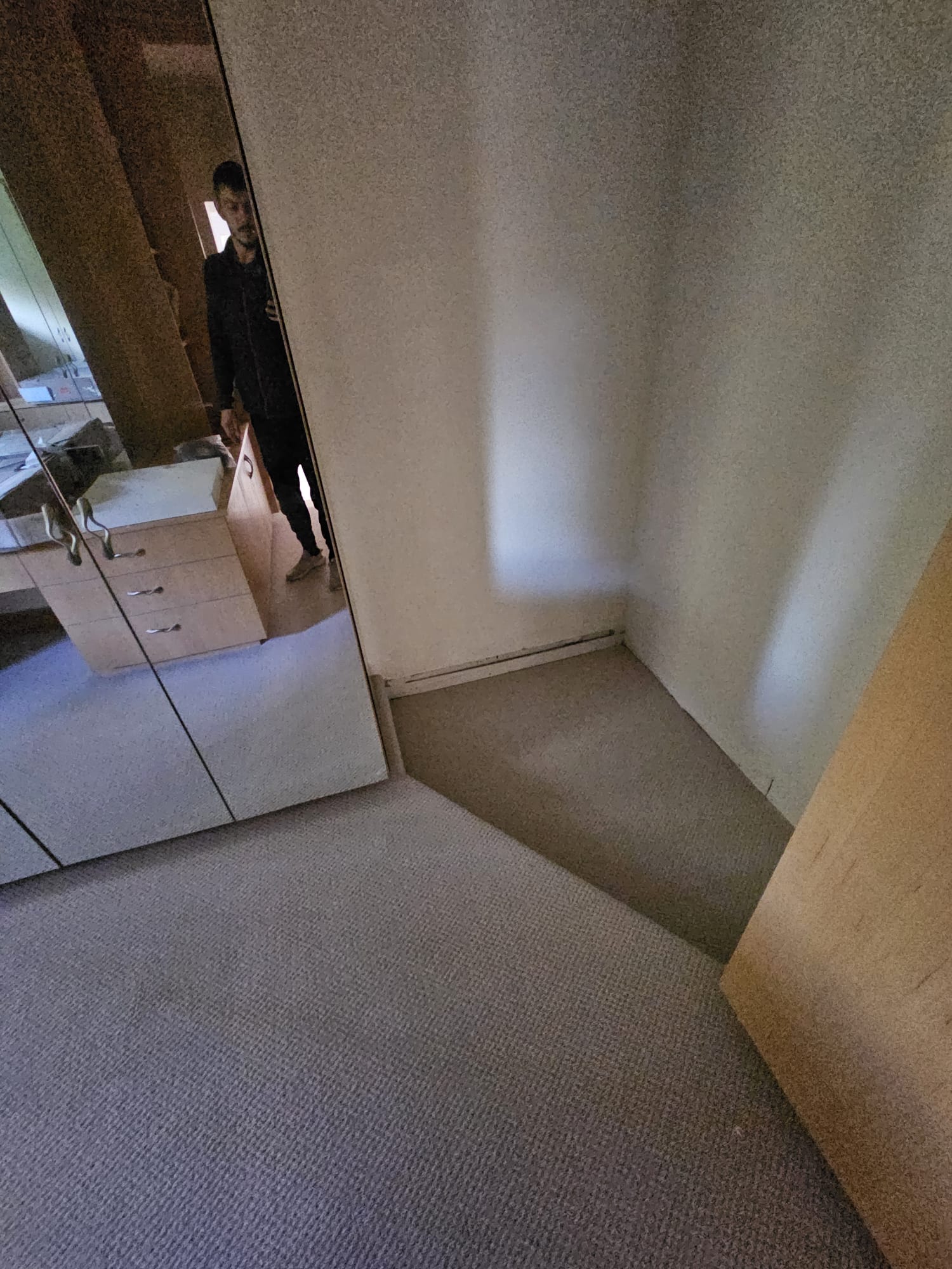 Westex Flooring Natural Loop Collection Boucle Thatch carpet installation in Barnes-0