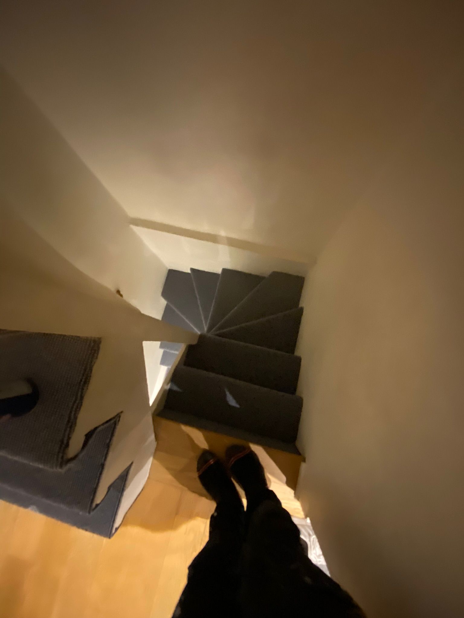 Fibre Carpets Wool Starlight Aquarius installation