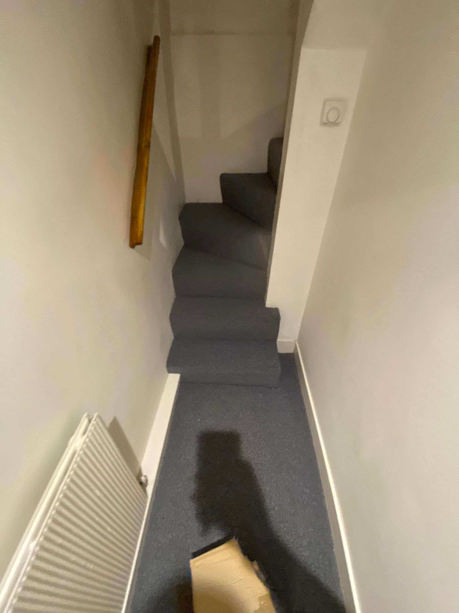 Fibre Carpets Wool Starlight Aquarius installation