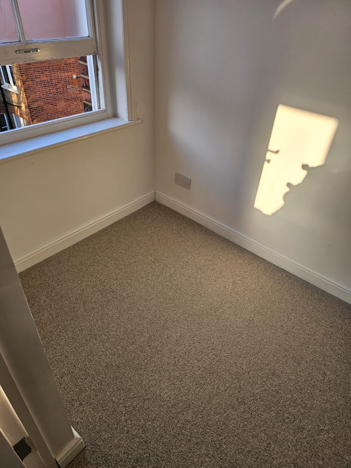 Brockway Carpets Rare Breeds Loop Canvas installation