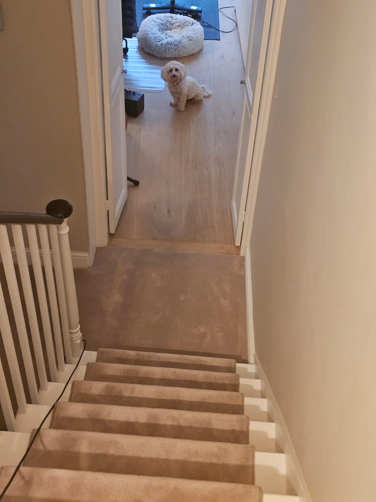 Kersaint Cobb Pampas Nordic Aalborg carpet installation