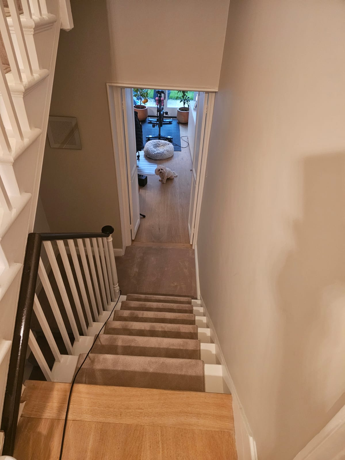 Kersaint Cobb Pampas Nordic Aalborg carpet installation