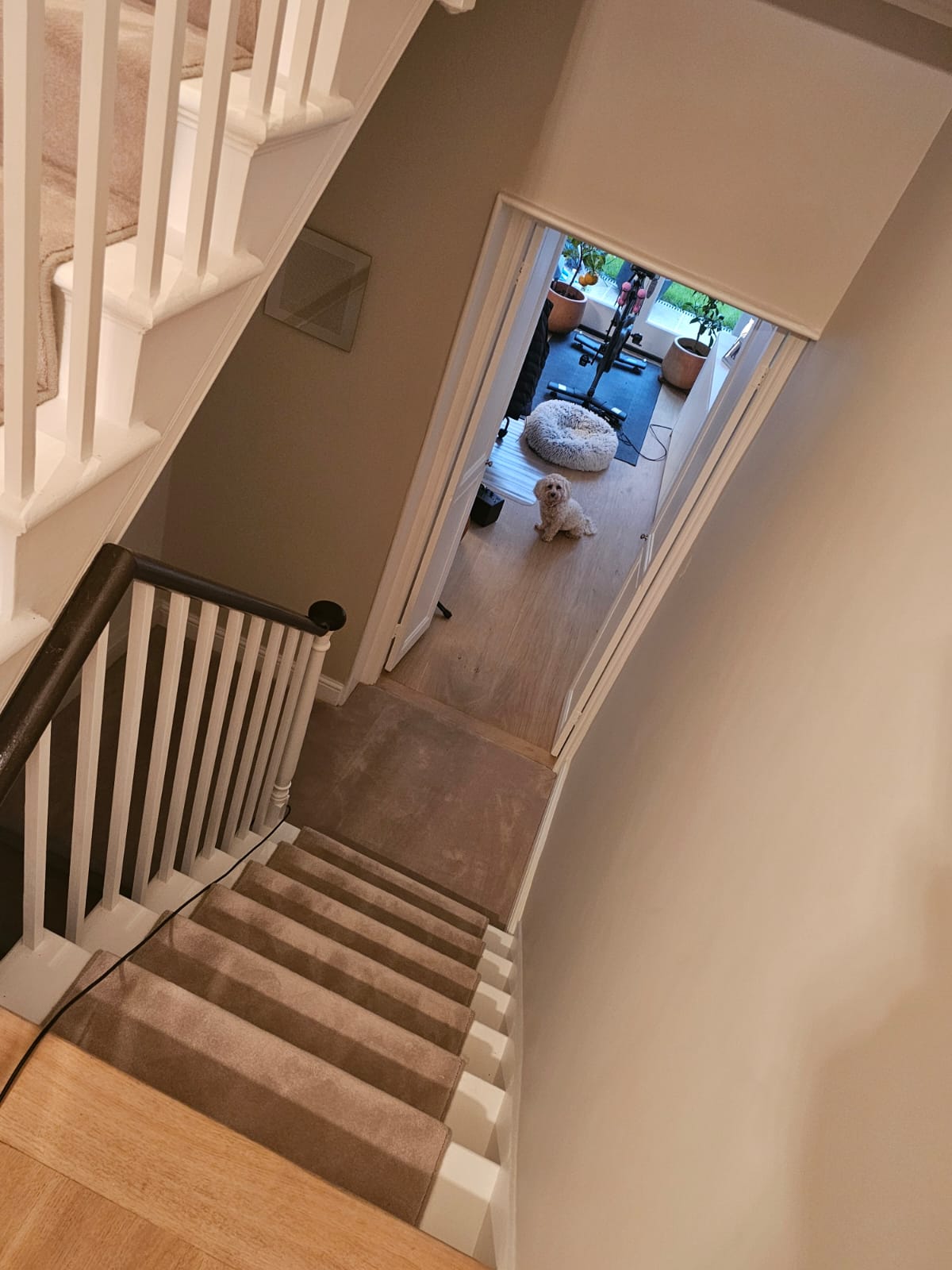 Kersaint Cobb Pampas Nordic Aalborg carpet installation