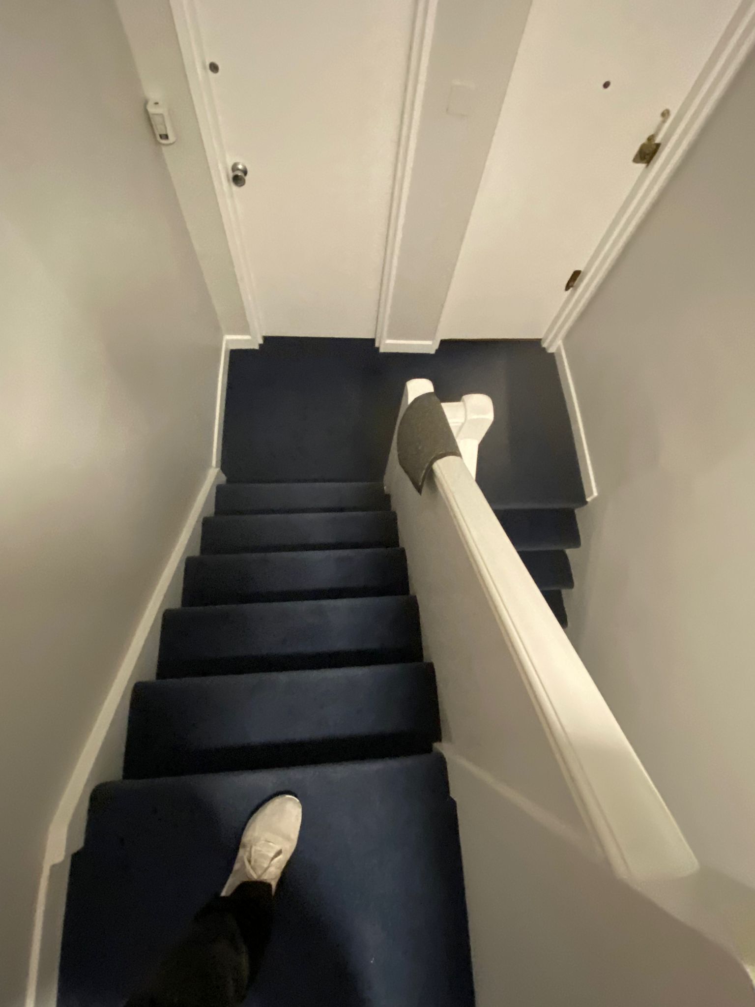 Westex Flooring Penultima Special Dye carpet installation