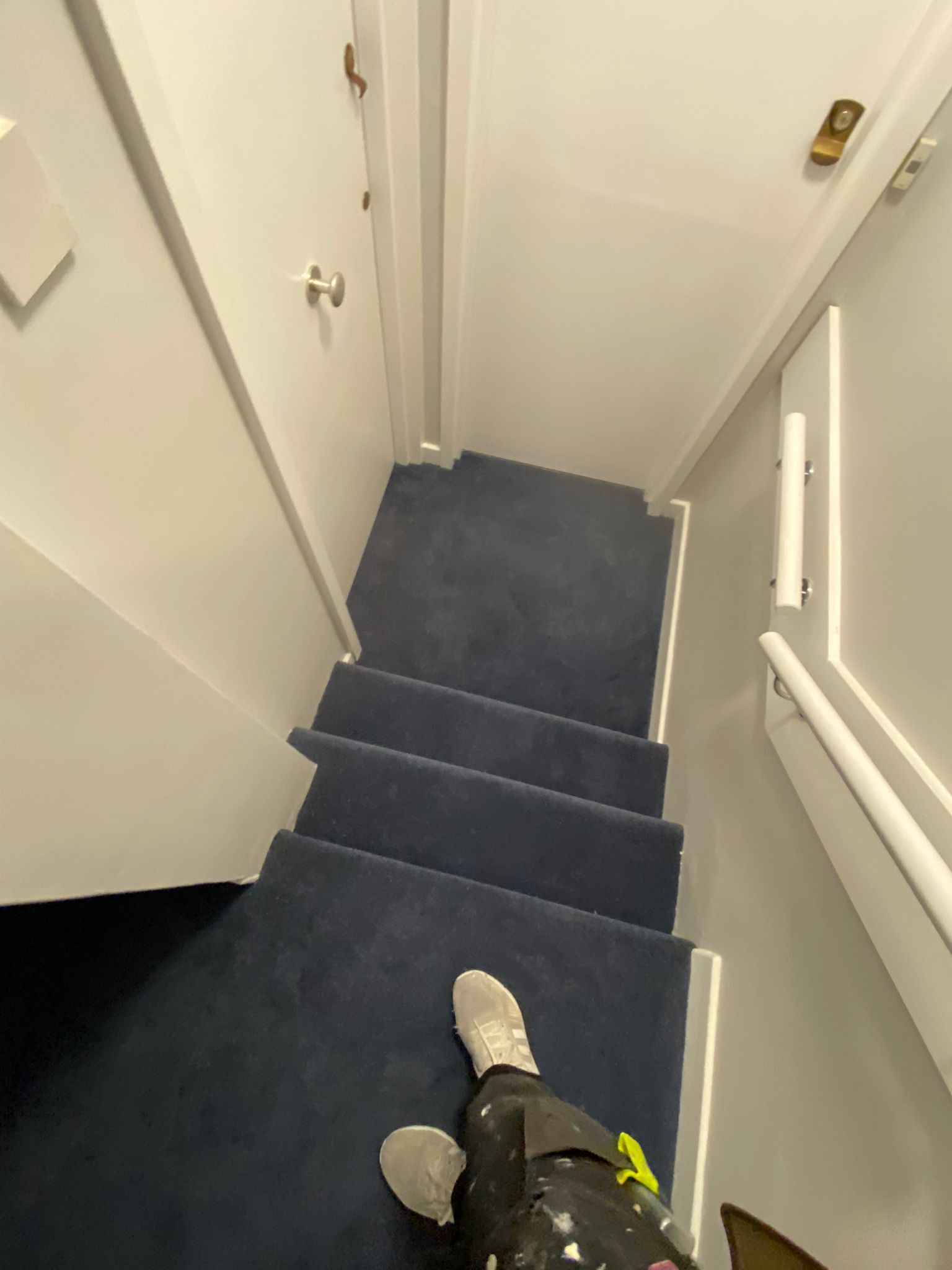 Westex Flooring Penultima Special Dye carpet installation