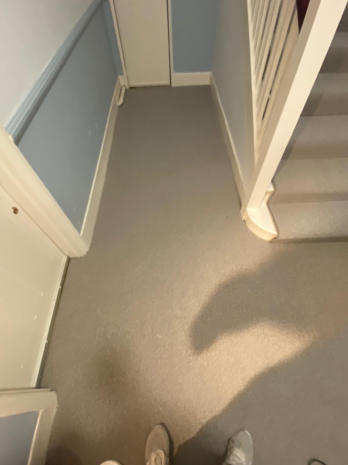 Best Wool Carpets Kensington Sepia 184 installation in Notting Hill-5