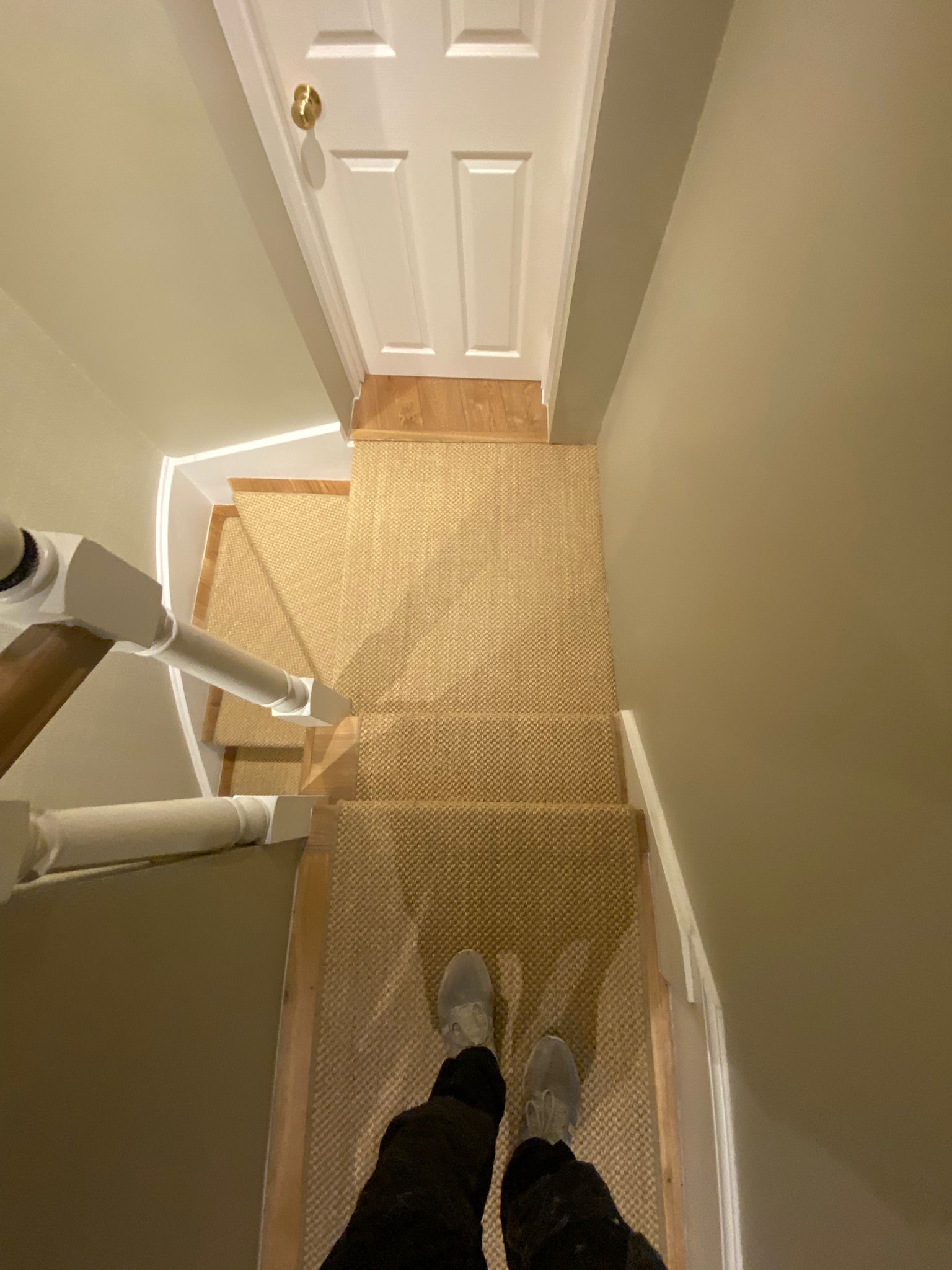 Fibre Carpets Sisal Bengal Mogul Installation in Padington - Carpet - Residential