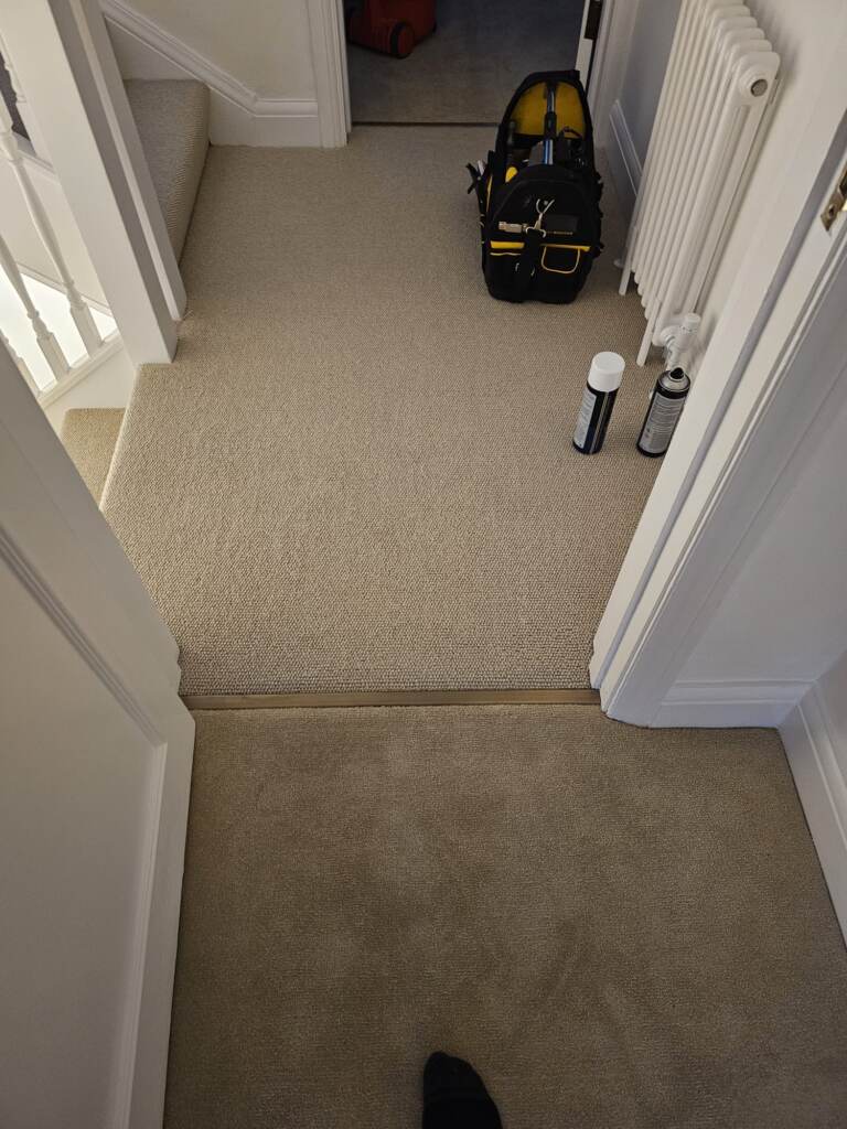 Clarendon Carpets New Elite Twist Maple Instalment in Paddington - Carpet