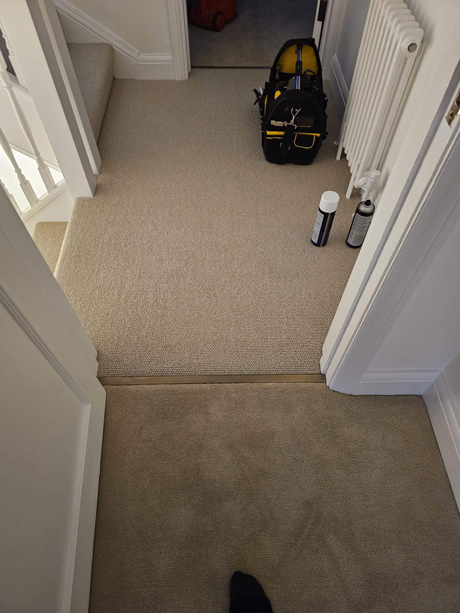 Clarendon Carpets New Elite Twist Maple Instalment in Paddington - Carpet