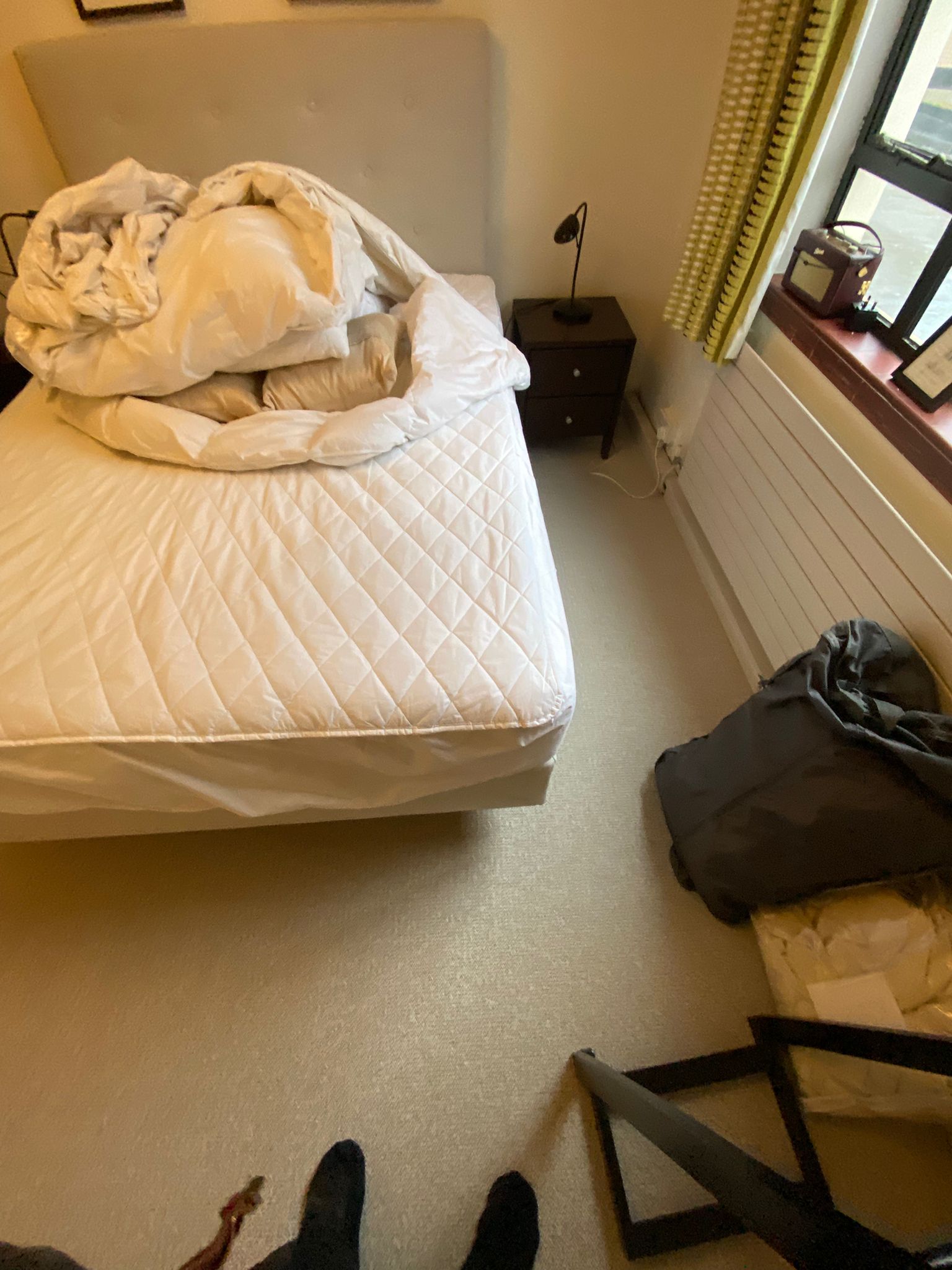 Westex Flooring Natural Loop Collection Briar Rustic carpet installation in -4