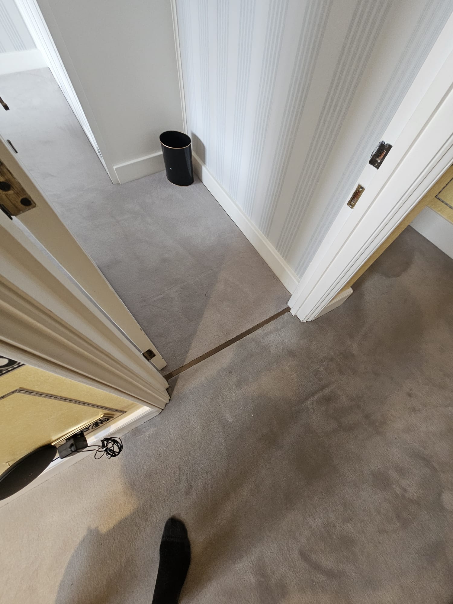 Westex Flooring Prestige Velvet Tornado carpet installation in-2