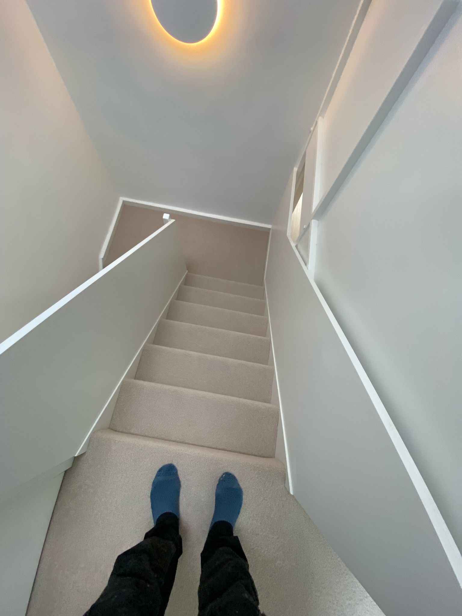 Clarendon Carpets Mayfair Loop Kasmir installation in – 7