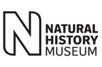 Kersaint Cobb Impressions Herringbone Boutique Beige carpet installation_4