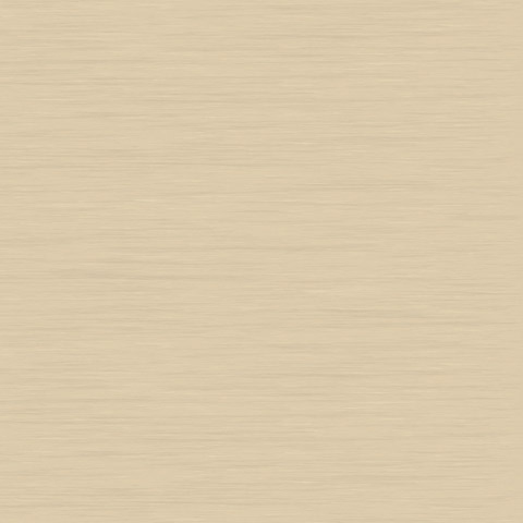 5216_Artoleum_Striato_Pacific beaches