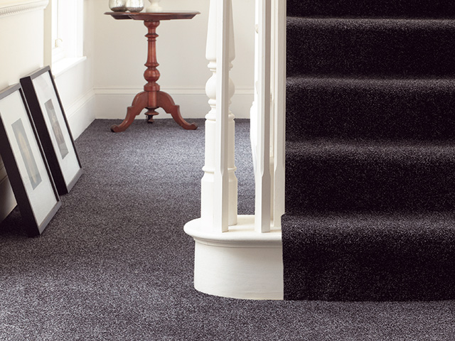 Abingdon Flooring - Stainfree Spicy