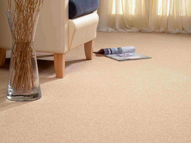 Adam Carpets Castlemead CD46 Flooring - Products - Carpet