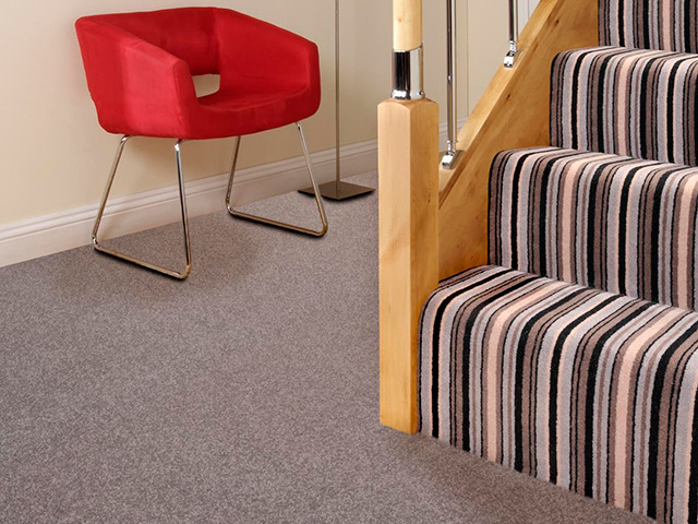 Adam Carpets - CVS03 Autmn Watch