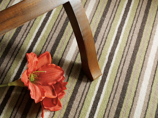 Adam Carpets - CVS12 Pampas Grass