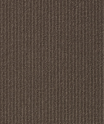 Boston Chocolate WB702