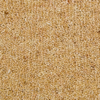 Litubel Staki Parket Chestnut Flooring - Guide