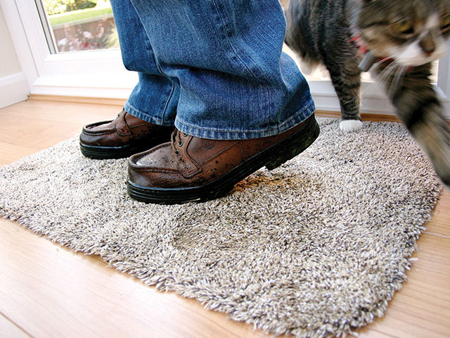 Coba Flooring - Entrance Mats - Dirt Trapper