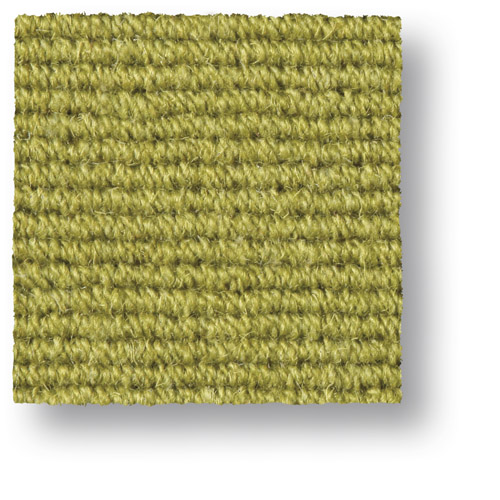 ColorR Boucle 3912