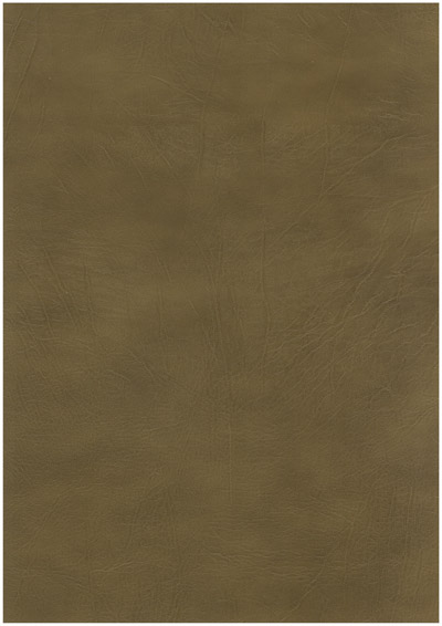 Corium_Calabria Cannella