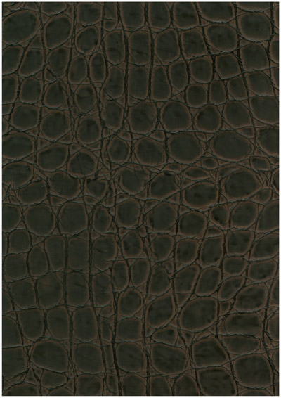 Corium_Veneto Borgogna