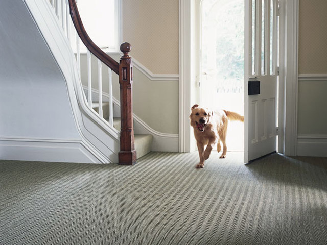 Crucial Trading Seagrass Fine Herringbone