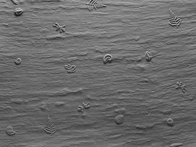 Dalsouple Rubber Fossile Tile - Guide - Rubber Flooring