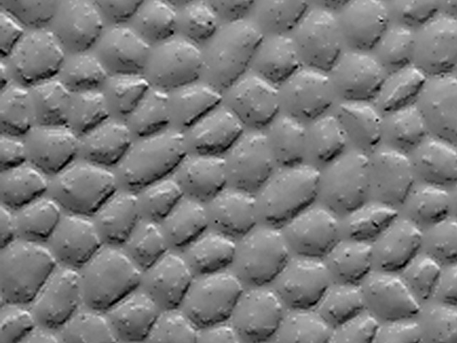 Dalsouple Rubber - Martelé