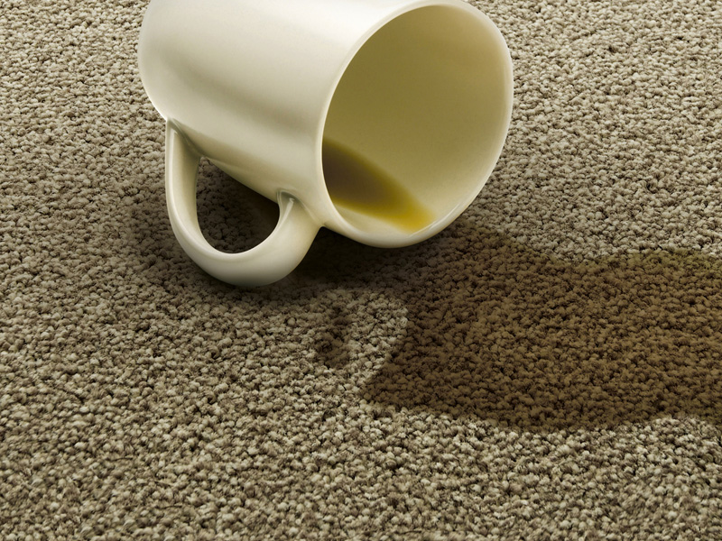 Victoria Carpets Easicare Morton Carpet - Carpet