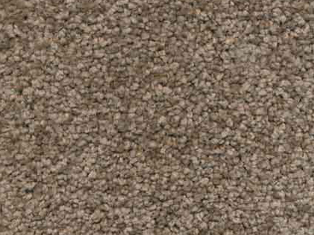 Florco Sentiment Flooring - Carpet