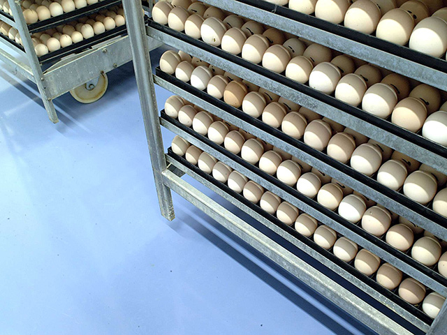 Flowcrete - Grampian - Floecoat SF41