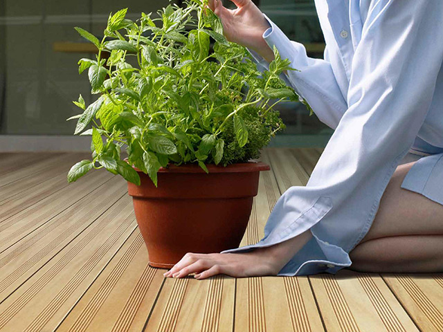 Futura Floors - Outdoor Decking - Garapa