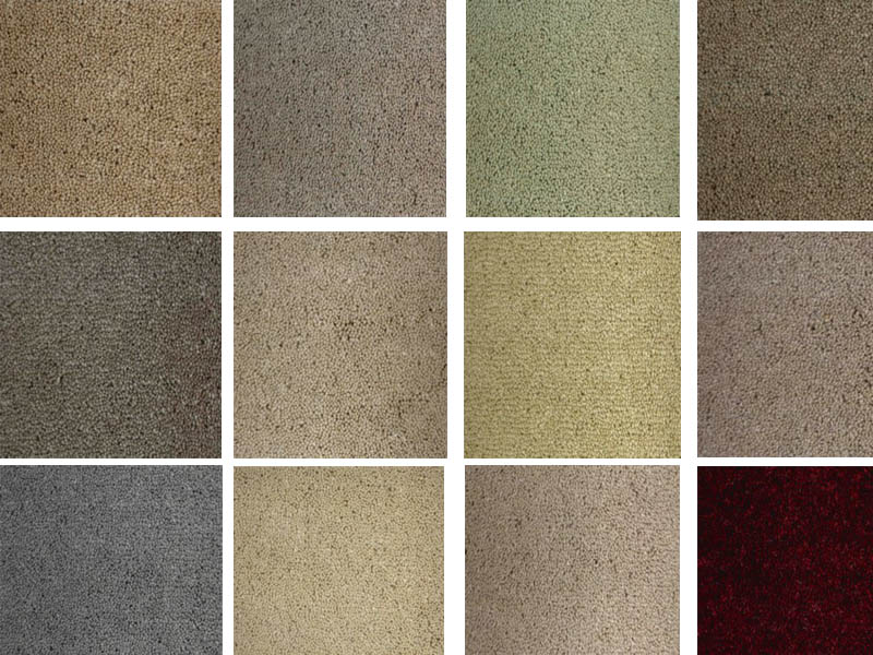 Kingsmead Carpets GEORGIAN PLAINS : Kinsgmead Carpets