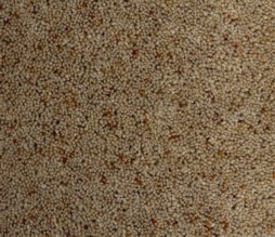 Geo Berber Butterscotch