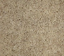 Geo Heathers Champagne