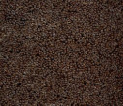 Geo Heathers Chocolate