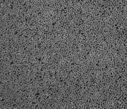 Geo Heathers Sherbet