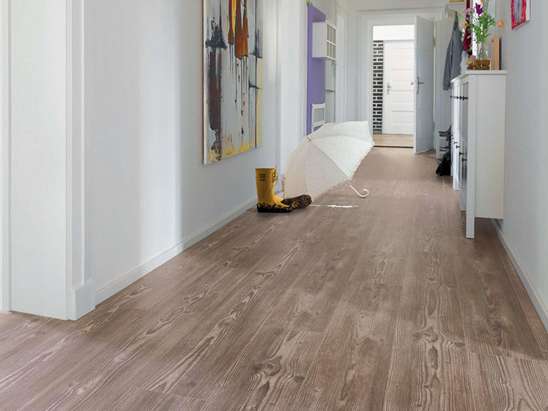 Haro Disano - Western Pine Flooring - Carpet - Guide