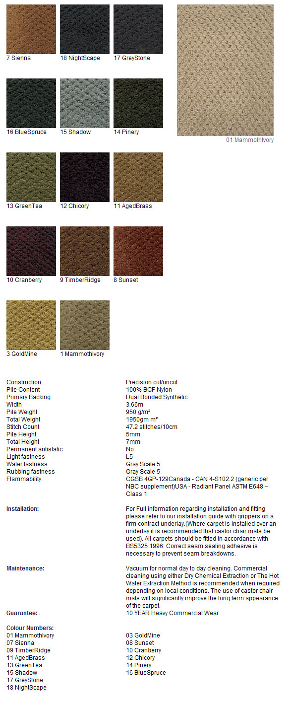 Joseph Hamilton Seaton Carpets Capital City - Carpet