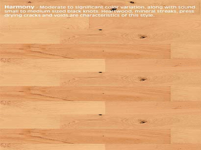 Junckers Beech Harmony Wood Flooring - Wood Flooring