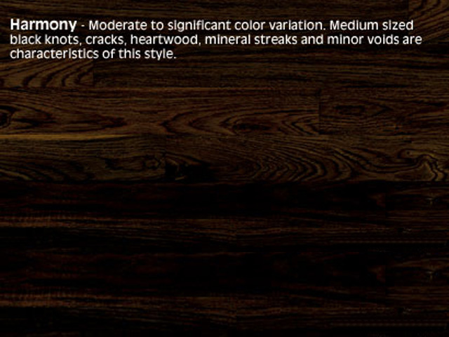 Junckers Black Oak Harmony Wood Flooring - Wood Flooring