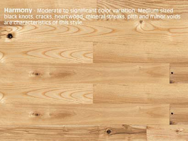 Junckers Nordic Ash Harmony Wood Flooring - Wood Flooring
