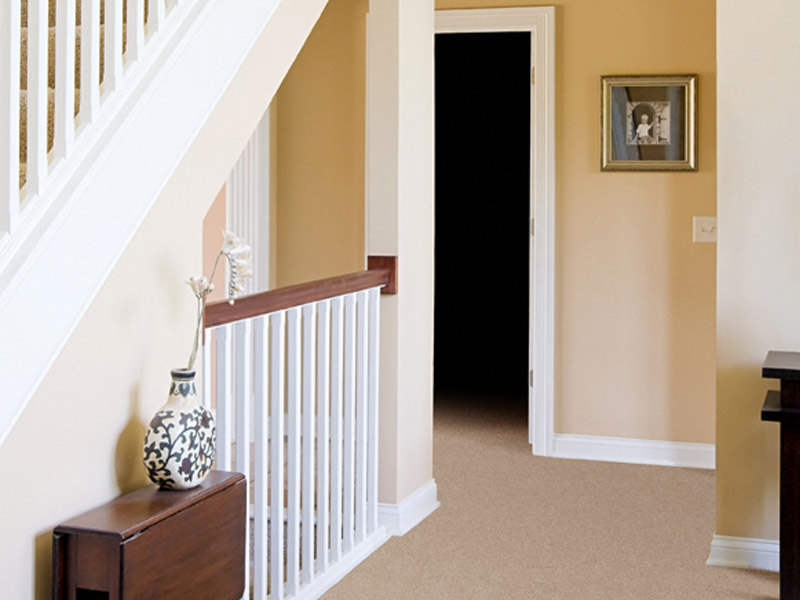 Kingsmead Carpet Ayrshire - Carpet - News