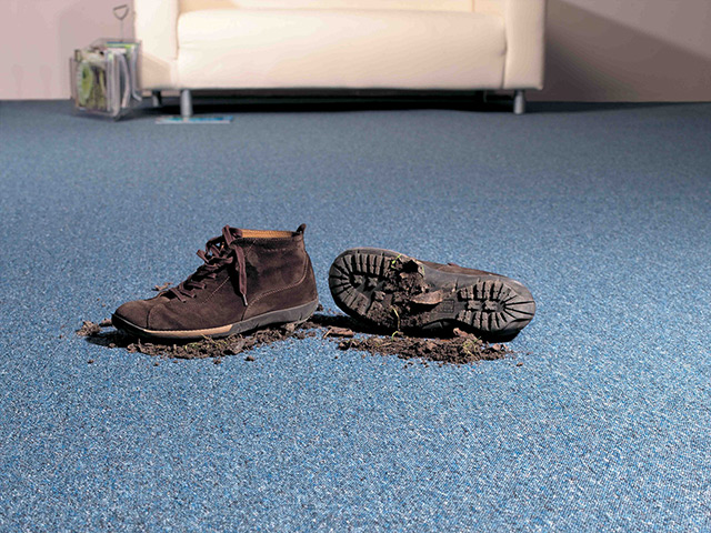 Lano Carpet Forum - Carpet - Guide