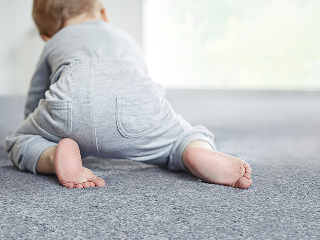 Lano Carpet Gentle Bliss - Carpet - News