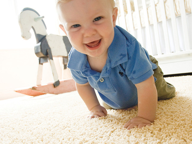 Lano Carpet Luxury We - Carpet - Guide